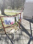 IMG_20200409_090157